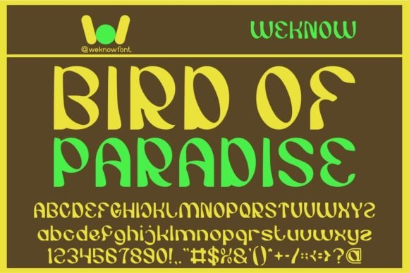 Bird of Paradise Font: Bold Display for Creative Branding