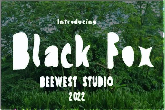 Black Fox: Bold Display Font for Modern Design